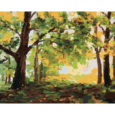 zuty Malování podle čísel Podzimní les krajina 40 x 50 cm vypnuté plátno na rám 8596530057819