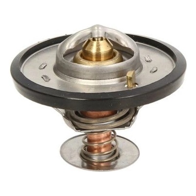 Termostat, chladivo THERMOTEC D2CA001TT