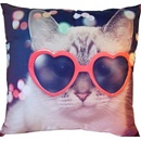 Dadka Foto vankúš Kočka v brýlích 40x40