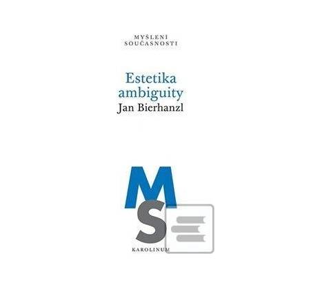Estetika ambiguity