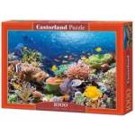Castorland 1000 - piece puzzle Coral Reef