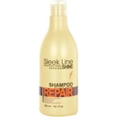 Šampóny Stapiz Sleek Line Blond Shampoo šampón na poškodené farbené vlasy 1000 ml