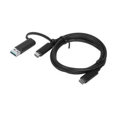 Lenovo 4X90U90618 USB-C / USB-A+USB-C Hybrid, 1m