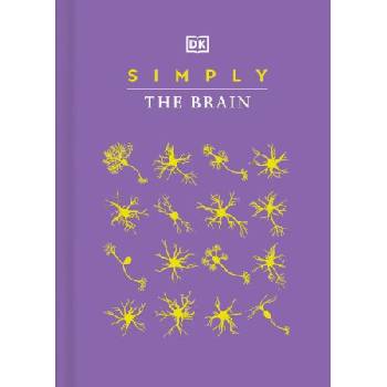 Simply the Brain | DK