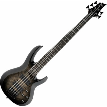 ESP LTD B-205D