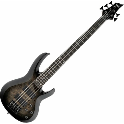 ESP LTD B-205D