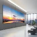 Image 1 of LG 55VL5PJ-A