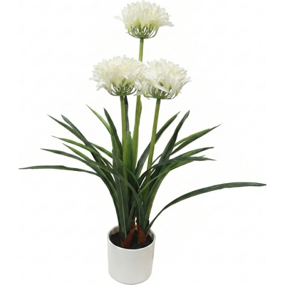 Botanical Decoration Umělá květina bílá v květináči Agapanthus, 50 x 80 cm zelený