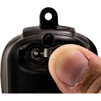 Dogtra iQ MINI