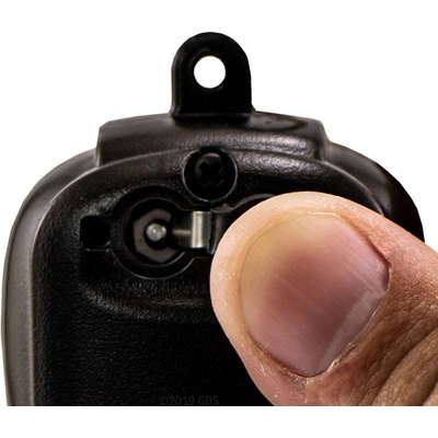 Dogtra iQ MINI
