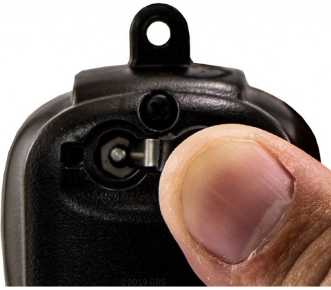 Dogtra iQ MINI