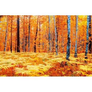 DIMEX ART s. r. o Флизелинов фототапет жълта есенна гора 375 x 250 см