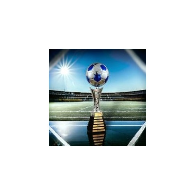 Poháry Bauer Pohár fotbal TLS2024/08 Fotbal