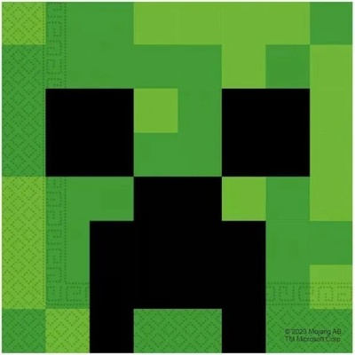 Procos Ubrousky Minecraft 20 ks