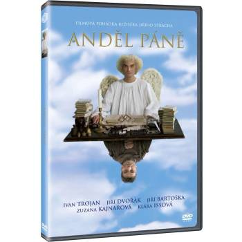 MagicBox Angel - DVD (011564)