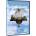 MagicBox Angel - DVD (011564)
