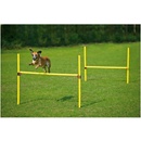 Dog Fantasy Agility set překážek - komplet 100 x 116 cm 2ks