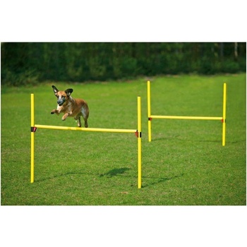 Dog Fantasy Agility set překážek - komplet 100 x 116 cm 2ks