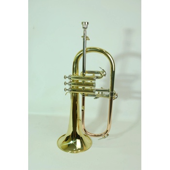 Image 1 of Ant X Флюгелхорна fg8610g (fg8610g)