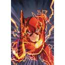 Flash: Starting Line Buccellato BrianPaperback / softback