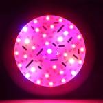  LED лампа за растеж на растения с мощност 40W, алуминий 17.8 x 6.5 см. 5496
