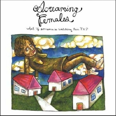 Screaming Females - What If Someone Is Watching Their T.V.? (Reissue) CLR LP
