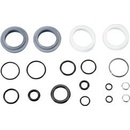 Rock Shox AM FORK SVC KIT RCN SLV SA