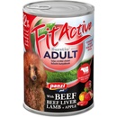 Panzi Fit Active Sensitive RedBomb 24 x 1240 g