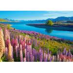 Castorland - Puzzle Lake Tekapo, New Zealand - 500 piese