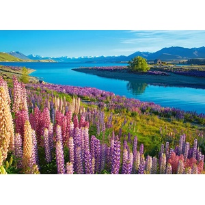 Castorland - Puzzle Lake Tekapo, New Zealand - 500 piese