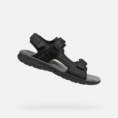 Geox Spherica EC5