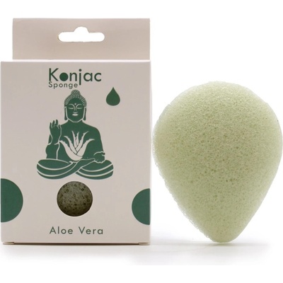 Konjac houba slza léčivá aloe vera – Zboží Dáma