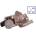 QWP AGR ventil QWP WEG181