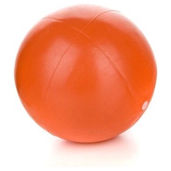 SPORTWELL Mini ball 25cm