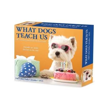 Willow Creek Press Calendars What Dogs Teach Us 2026 5.4 X 6.2 Box Calendar | Glen Dromgoole