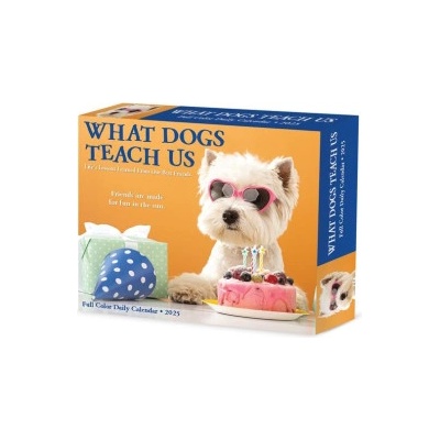 Willow Creek Press Calendars What Dogs Teach Us 2026 5.4 X 6.2 Box Calendar | Glen Dromgoole
