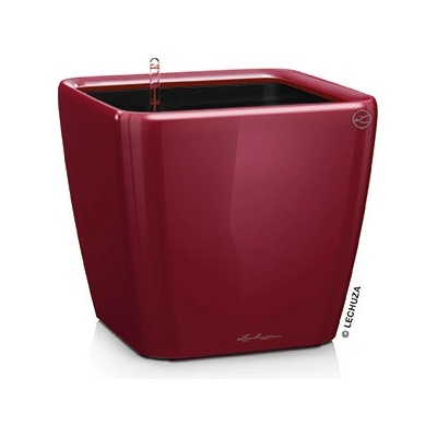 Lechuza Quadro 28 cm LS scarlet rot