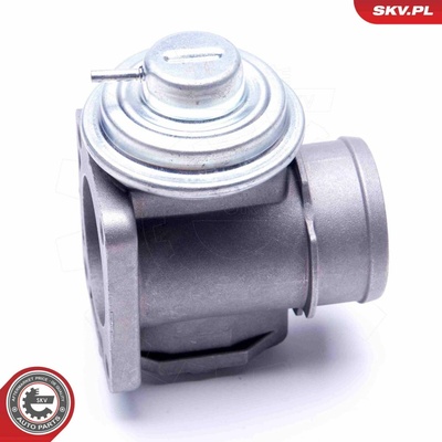 AGR-Ventil ESEN SKV 14SKV174
