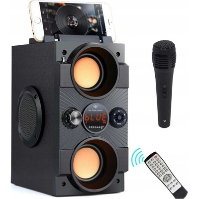 Feegar Dance 4000mah Radio USB SD AUX jack 3 5