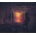 Moonspell - Hermitage Mediabook CD