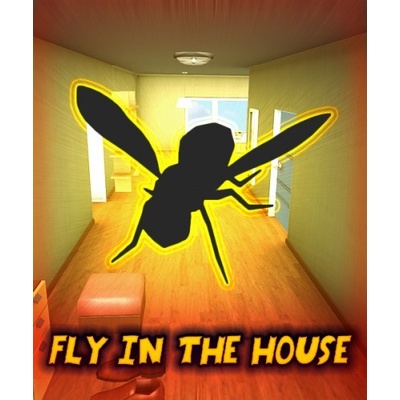 Fly In The House