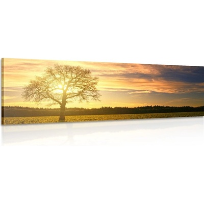 Obraz osamělého stromu - 135x45