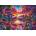 Art Puzzle - Puzzle Flamingo Rendezvaus - 2 000 piese