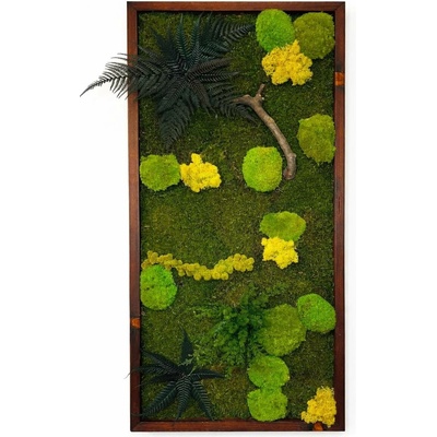 Mechový obraz s rostlinami 3D dark MINI Velikost: 40x40cm