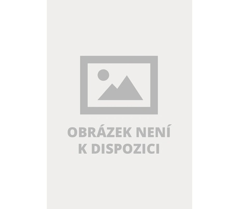 Básník a král
