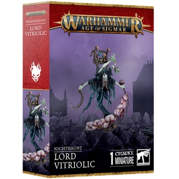 Games Workshop Lord Vitriolic (91-81)