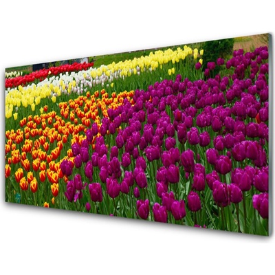 Obraz na skle Tulipány Květiny 100x50 cm