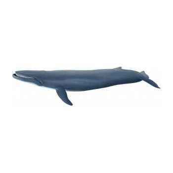 Papo Blekitny pletwal