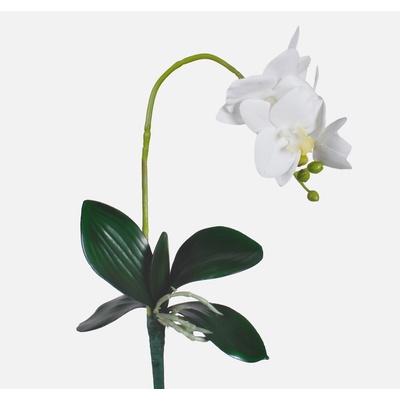 Biela orchidea 423L 50cm