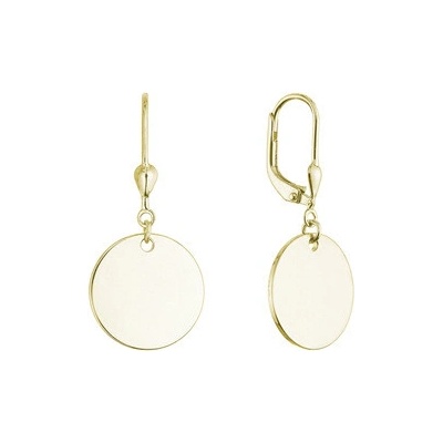 EVOLUTION GROUP CZ Pozlacené stříbrné náušnice placičky 61135 yellow gold